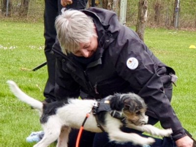 CreaCanis Roots-Seminar