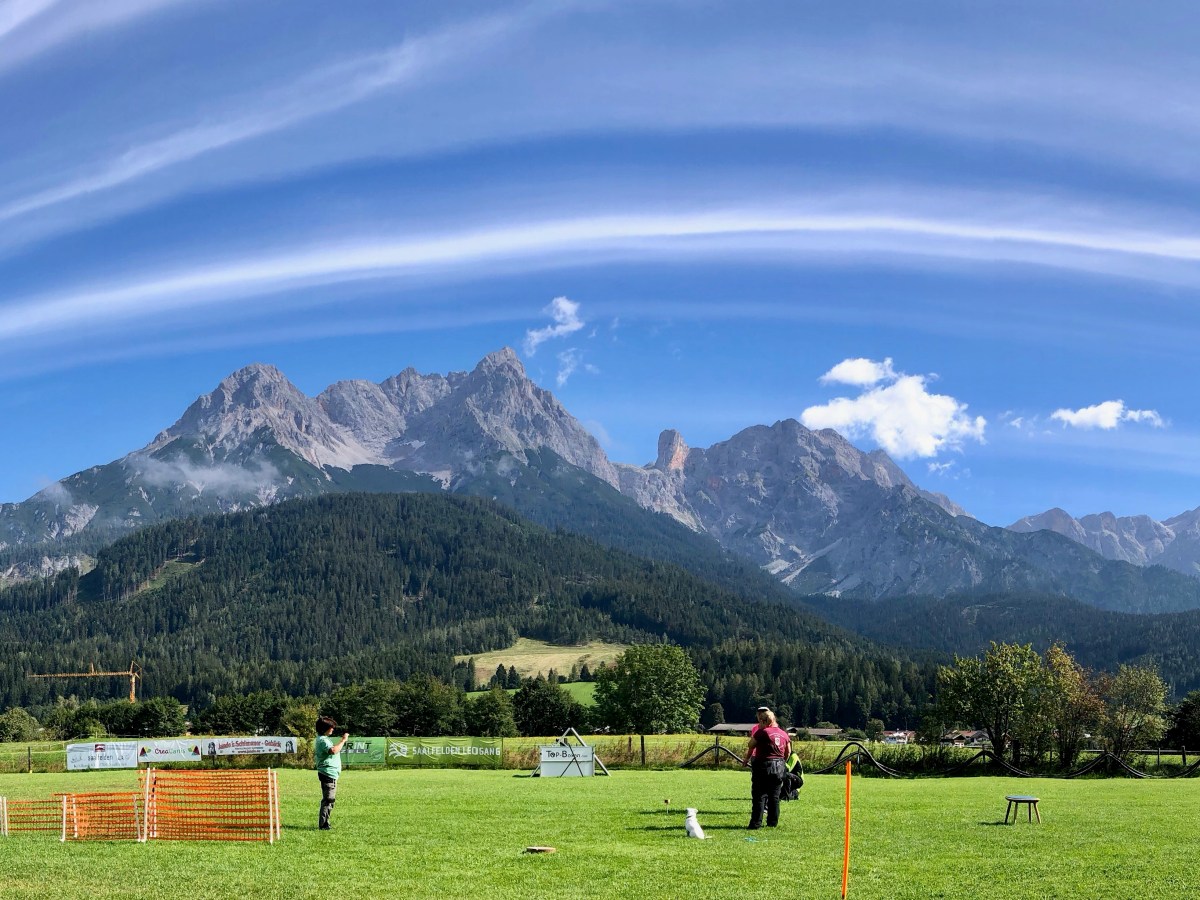 CreaCanis Sportwoche