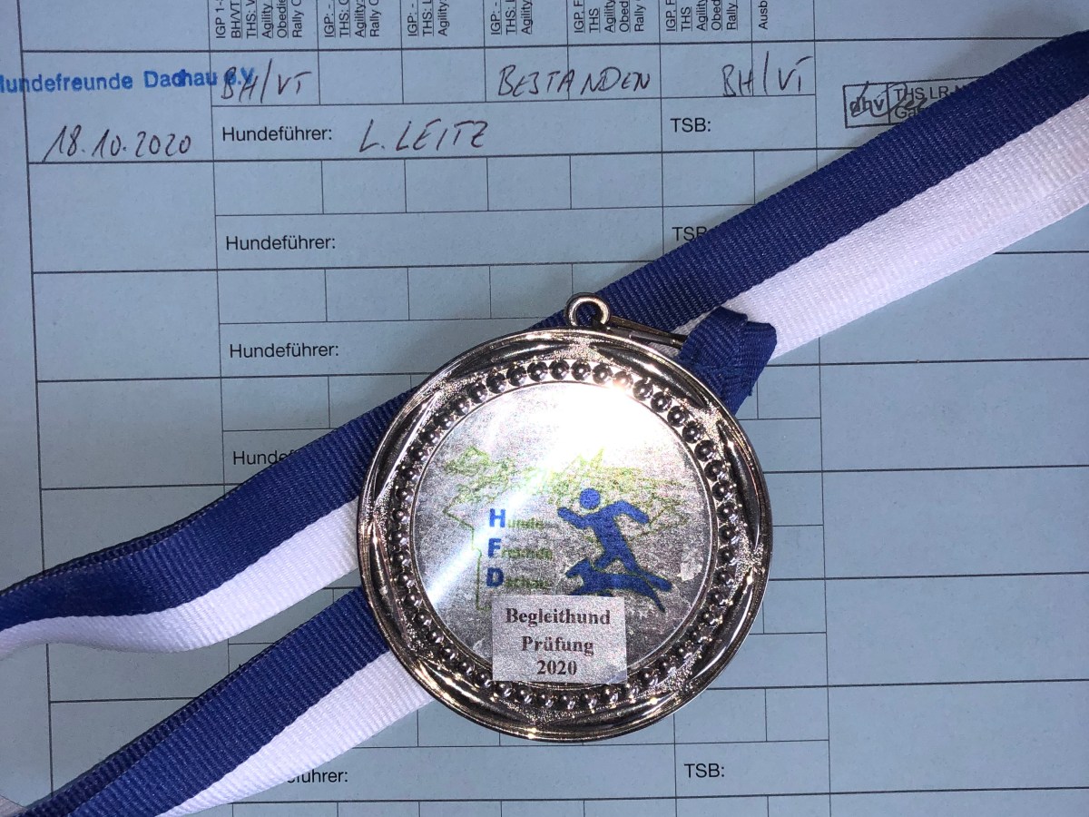 Begleithundeprüfung