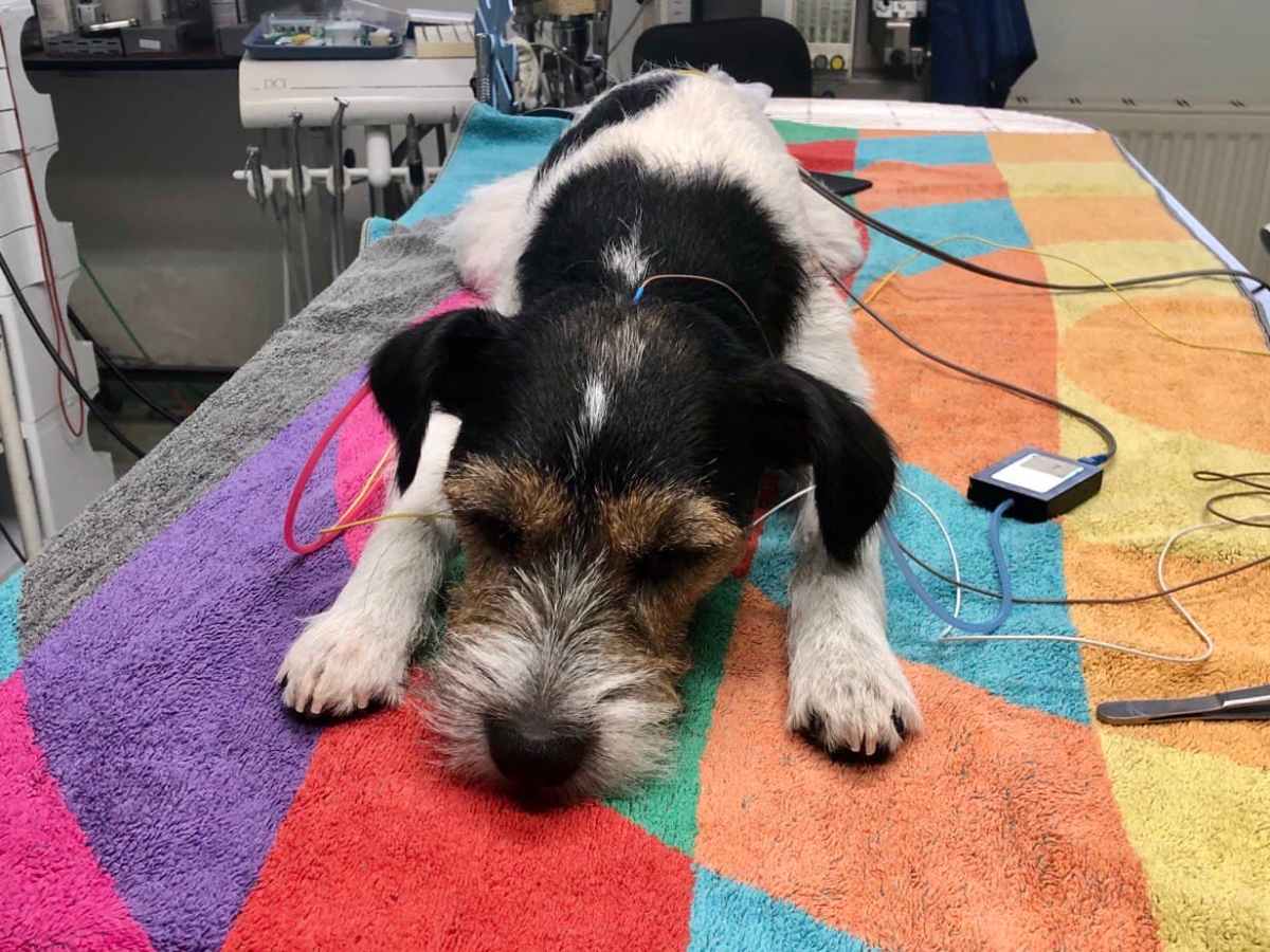 Audiometrie-Untersuchung