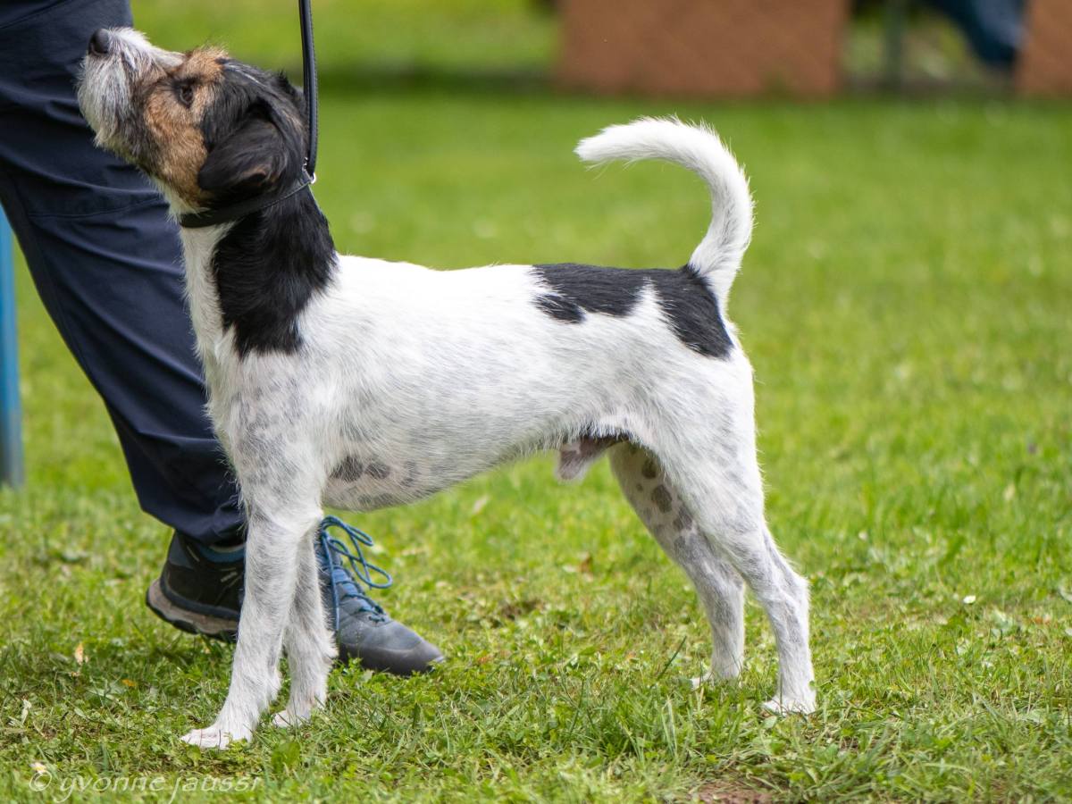 Ausstellung Neustadt