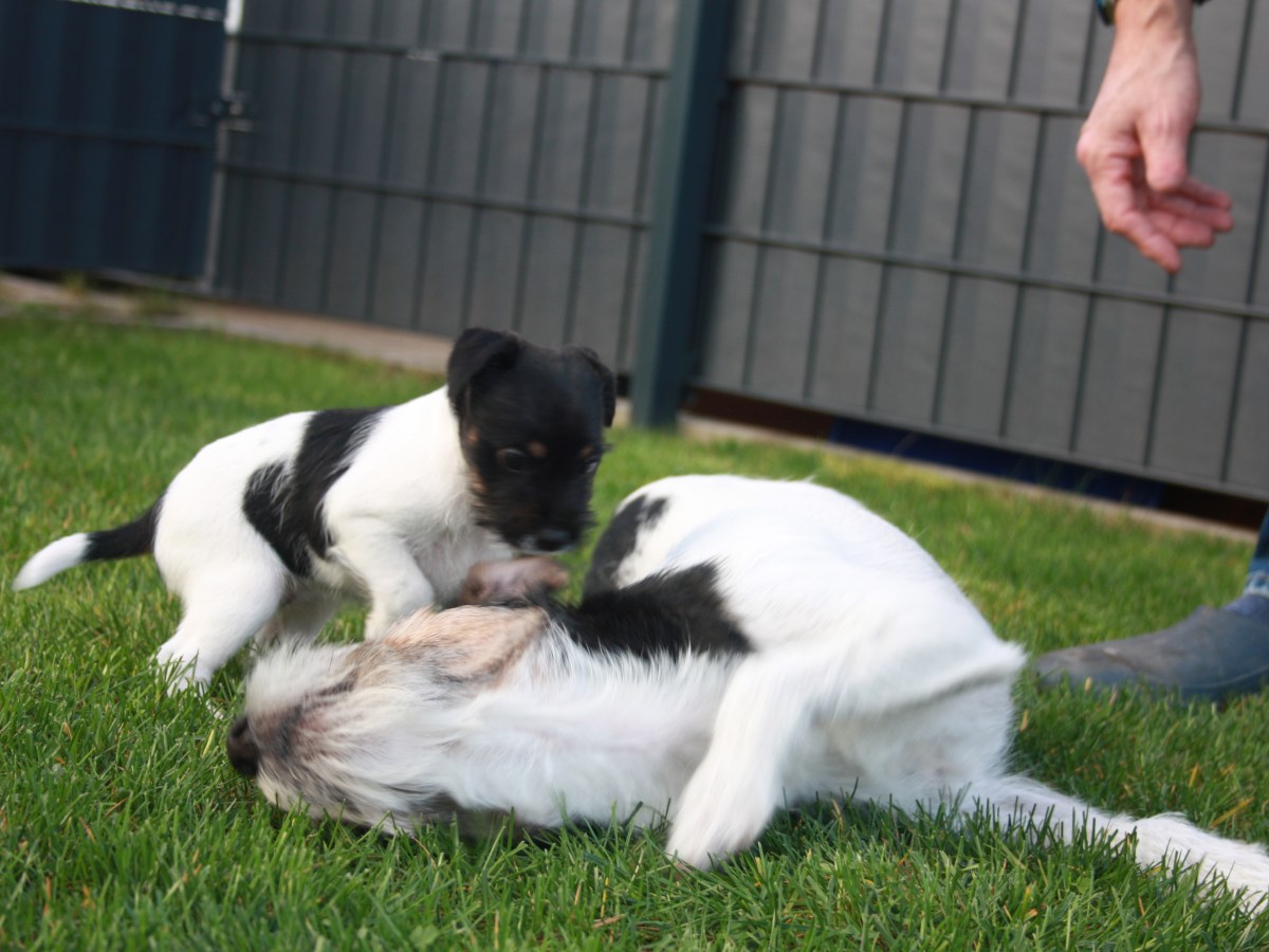 Der 1. Ausflug in den&nbsp;Garten
